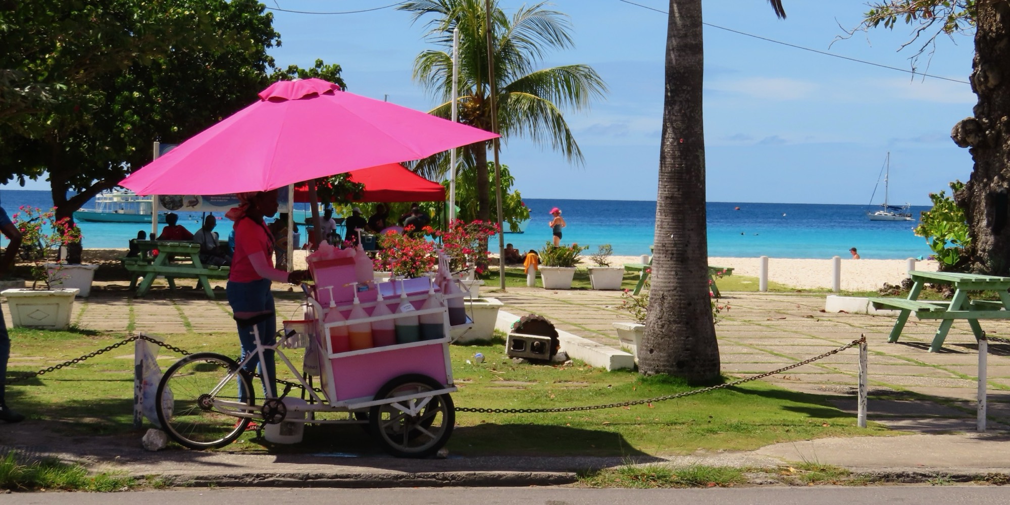 A snow cone cart with a pink umbrella under palm trees, the sea behind it.